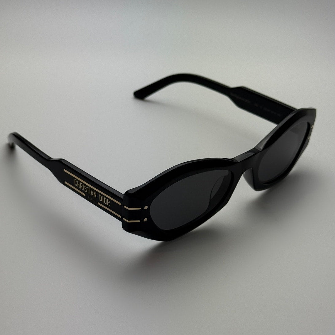 DIOR Sunglasses DIorSignatureB1U 10A0 Black Women